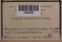 Image Associated With the Occurence